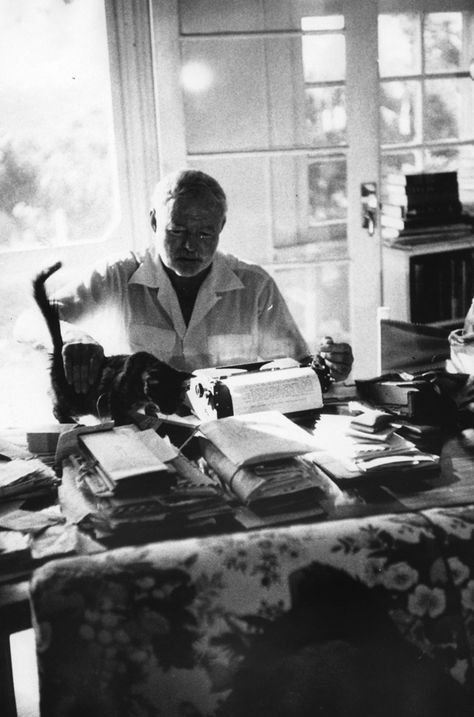 Ernest Hemingway 16 Famous Writers And Their Cats Ernst Hemingway, Earnest Hemingway, Hemingway Cats, Jack Kerouac, Writers And Poets, Writers Write, Cat People, Ernest Hemingway, Cat Quotes