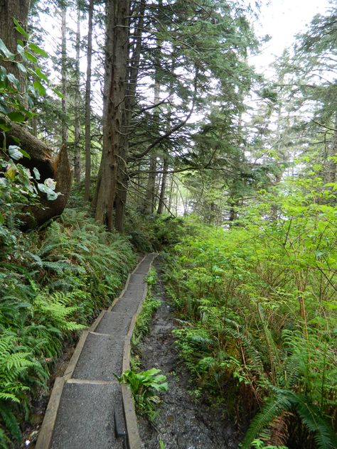 A Path to Second Beach, La Push Washington Aesthetic Seattle, La Push Washington, Pnw Adventures, Houses By The Beach, Forks Washington, Washington Coast, Washington Hikes, Washington Travel, Evergreen State