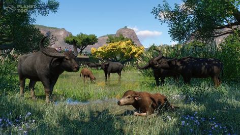 East Asian Theme | Planet Zoo Wiki | Fandom Planet Zoo Animals, Planet Zoo Seal Habitat, Planet Zoo African Habitat, Planet Zoo Wolf Habitat, Planet Zoo Grassland, Zoo Tycoon, Zoo Boo, North American Beaver, Planet Zoo Lemur Habitat