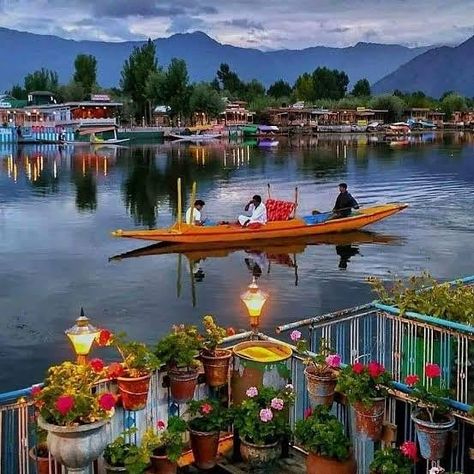 Kashmir Tourism, Kashmir Trip, Dal Lake, Travel Destinations In India, Amazing India, Kashmir India, India Tour, Srinagar, Jammu And Kashmir