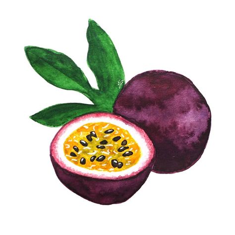 Passion Fruit Illustration, Buah Markisa, Fruit Art Drawings, Veggie Art, Watercolor Pencil Art, Art Journal Prompts, Fruits Drawing, Watercolor Fruit, Food Painting