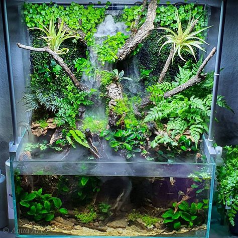 Diy Paludarium, Snake Tanks, Paludarium Ideas, Bioactive Vivarium, Aqua Scape, Water Terrarium, Diy For Beginners, Aquarium Garden, Fish Tank Terrarium