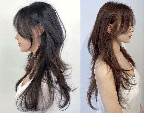 Step Layered Haircut, Heavy Layers Long Hair, Hush Cut Hair Long, Korean Hush Haircut, Hush Cut With Bangs, Korean Hush Cut, Haircuts For Asian Women, Hush Haircut, Hush Cut