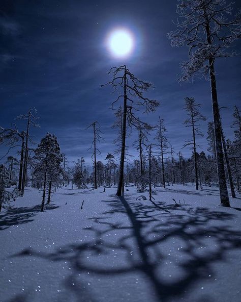 Moon Photography, Winter Scenery, Night Scene, Beautiful Moon, Winter Pictures, Winter Wonder, Winter Art, The Night Sky, Night Aesthetic