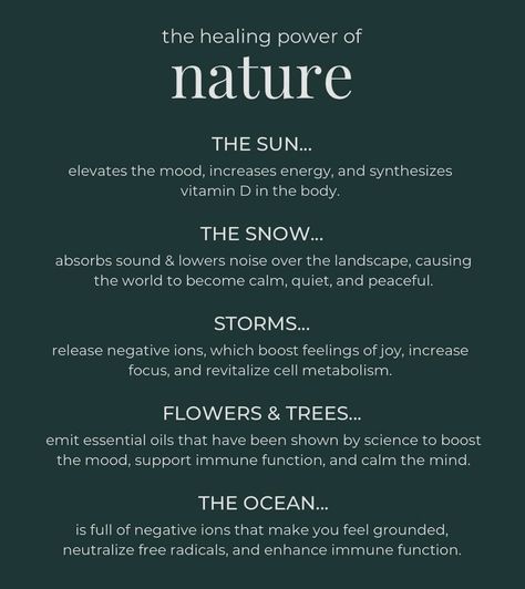 The healing power of nature 🌞🌲🌙 #health #balance #nature #heal #ayurveda #havahholistichealth #holistic Naturopathy Aesthetic, Holistic Lifestyle Aesthetic, Holistic Healing Aesthetic, Nature Benefits, Holistic Center, Blue Journal, Healing Power Of Nature, Nature Therapy, Nature Healing