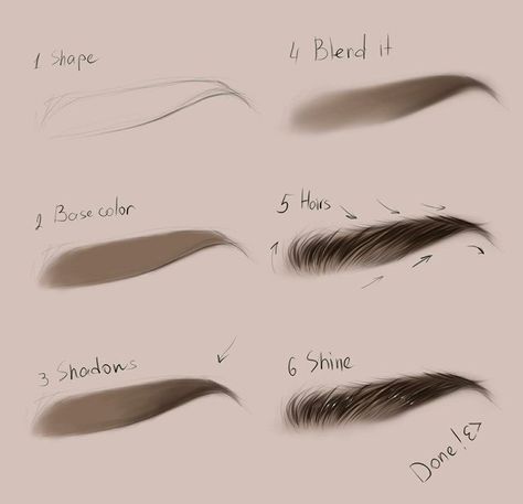 Eyebrow Art, Step By Step Art, Digital Art Tutorial Beginner, Draw Eyebrows, Digital Painting Techniques, How To Draw Eyebrows, 얼굴 그리기, Digital Art Beginner, Seni Cat Air