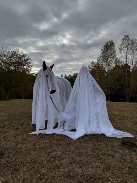 Horse and human in ghost costume Spooky Horse Photoshoot, White Horse Halloween Costumes, Halloween Photoshoot With Horse, Horse Ghost Costume, Halloween Costumes With Horses, Horse And Rider Halloween Costumes, Halloween Horse Costumes, Ghosts Halloween Costume, Horse Costume Ideas