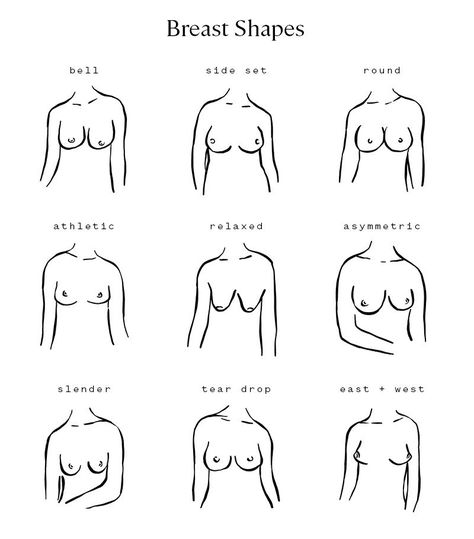 The best Bra for your Boobie shape Breast Shapes Diagram, Bra Reference, Body Shape Chart, Bra Chart, Female Parts, Human Body Shape, Iron Man Fan Art, Bob Marley Pictures, Funny Mean Quotes