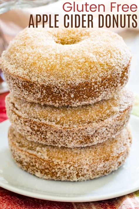 Baked Apple Cider Donuts Recipe Gluten Free, Apple Cider Donuts Gluten Free, Apple Cider Donuts Recipe Gluten Free, Gluten Free Cider Donut Recipe, Gluten Free Doughnuts Baked, Almond Flour Apple Cider Donuts Recipe, Gf Apple Cider Donuts Recipe, Gluten Free Apple Cider Donuts Baked, Gluten Free Apple Cider Donut Recipe