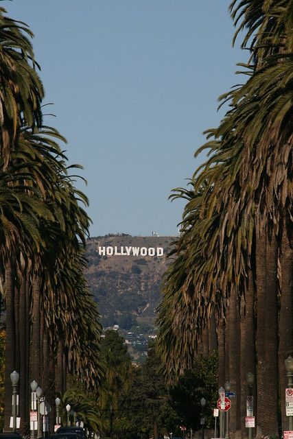 Los Angeles Trip, California Vibe, Hollywood Sign, California Love, City Of Angels, California Dreamin', California Dreaming, Hollywood California, City Aesthetic