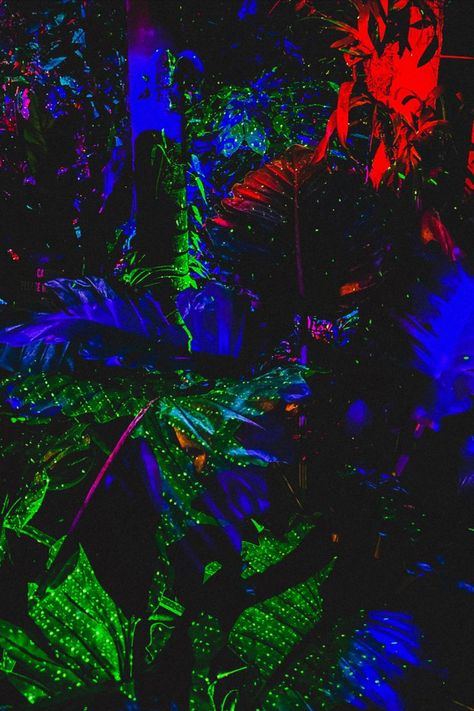 Party in the neon jungle tropicore mystic jungle jungle party theme neon aesthetic Neon Nature Aesthetic, Jungle Party Aesthetic, Jungle Music Aesthetic, Alien Stimboard, Dark Jungle Aesthetic, Neon Jungle Aesthetic, Jungle At Night, Monty Gator, Jungle Aesthetic