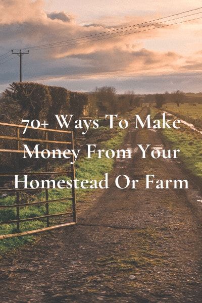 70+ Ways To Make Money From Your Homestead Or Farm Starting A Farm, Acre Homestead, Small Backyard Design Layout, Backyard Design Layout, Farm Plans, Homestead Farm, Farm Layout, Farm Business, Farm Lifestyle