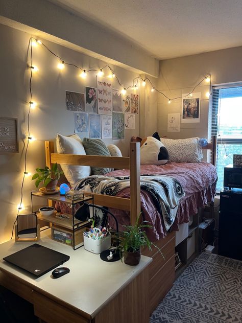 Mini Fridge Under Dorm Bed, College Dorm Clean Aesthetic, Dorm Double Room Ideas, Dorm Inspo Cozy Double, Boston College Dorm, Dorm Room Layouts Double, Dorm Calendar, Dorm Room Designs Aesthetic, Double Dorm Room Ideas