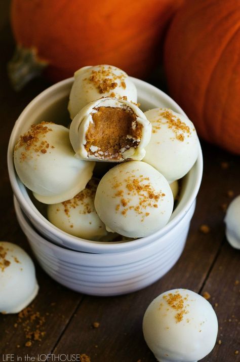 Pumpkin Cake Balls, Protein Truffles, Pumpkin Truffles, Pumpkin Pie Protein, Fall Pinterest, Easy Pumpkin Dessert, Truffles Chocolate, Baileys Recipes, Bake Pumpkin