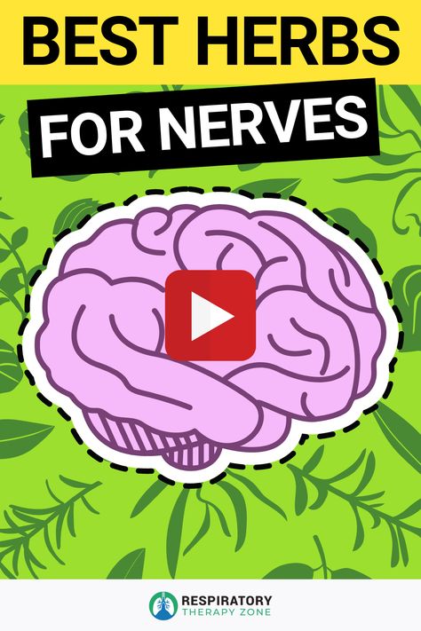 Nerve Pain Remedies, Vitamins For Nerves, Brain Nerves, Natural Decongestant, Pinched Nerve, How To Calm Nerves, Respiratory Therapy, Organization Skills, Nerve Cell