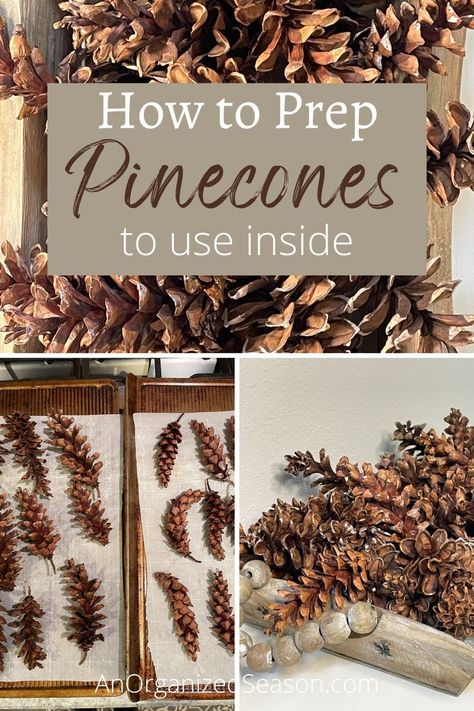 Pinecones on baking sheets and pinecones in a wood tray. How To Dry Pinecones, How To Prep Pinecones For Crafts, How To Preserve Pinecones, How To Open Pinecones, Drying Pinecones In Oven, Diy Fall Decor With Pinecones, How To Bake Pinecones For Crafts, Huge Pinecone Crafts, Cleaning Pinecones For Crafts