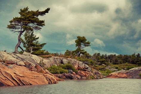 Ontario Landscape, Southwest Photography, Stone Landscaping, Northern Ontario, Georgian Bay, Watercolor Tree, Tree Images, Breathtaking Places, Canadian Art