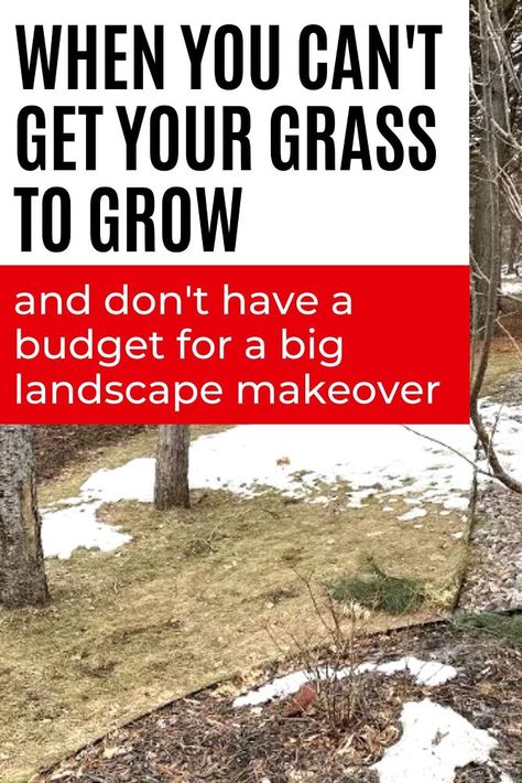 If you can't get your front lawn to grow grass then you'll love this budget friendly front yard landscaping idea. Easy DIY gravel path for your front yard. Increase curb appeal with this landscaping idea on a budget. No Grass Front Yard Ideas, No Grass Yard Ideas, No Grass Yard, Big Landscape, Diy Upholstery Cleaner, Small House Diy, Increase Curb Appeal, Garden Goddess, Diy Wood Wall