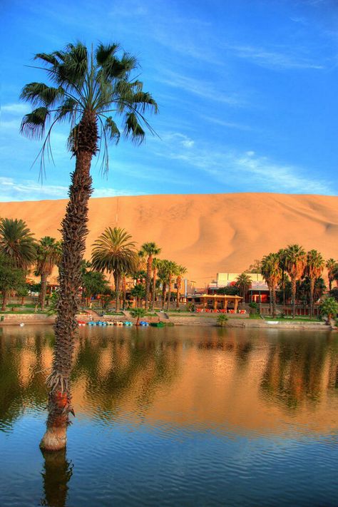 Oasis en medio del desierto de Ica Huacachina, Ica - Perú Huacachina Peru, Desert Vacation, Peru Beaches, Peru Travel Guide, Deserts Of The World, Sand Surfing, Belle Nature, Desert Life, Visit Egypt