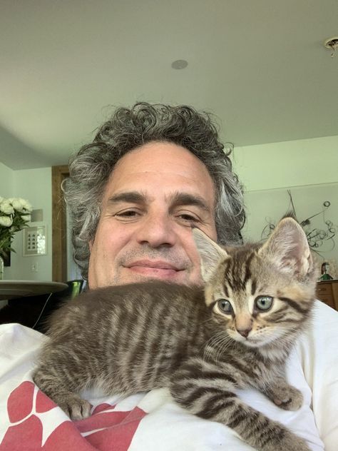 Mark Ruffalo Hulk, Holding A Cat, Marvel Photo, Dc Memes, Mark Ruffalo, Bruce Banner, Man Thing Marvel, Marvel Actors, Marvel 3