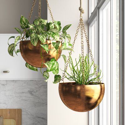 Plastic Hanging Planters, Wall Planters Outdoor, Planter Window, Metal Hanging Planters, Railing Planters, Barrel Planter, Window Planter Boxes, Urn Planters, Nails And Screws