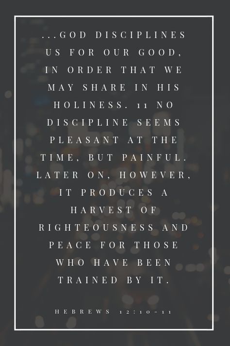 Hebrews 12:10-11 Hebrews 12:11 Wallpaper, Hebrews 12:11, Hebrews 12, Beautiful Bible Verses, Scripture Study, Bible Studies, Bible Encouragement, Daily Bread, God Jesus