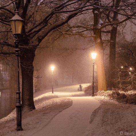 1000+ ideas about Winter Night on Pinterest | Night, Snow and ... Winters Tafereel, Era Victoria, Winter Poster, Street Lights, Winter Love, Winter Magic, Winter Scenery, Winter Beauty, Snow Scenes