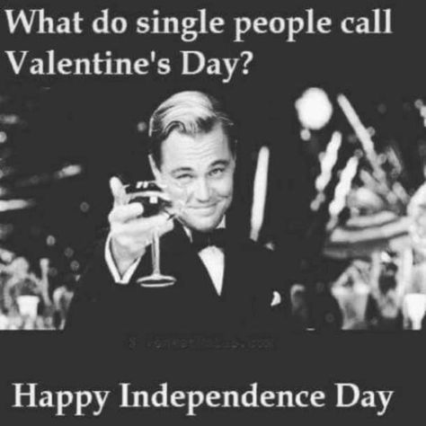 Valentines Day Funny Meme, Funny Valentine Memes, Valentines Day Jokes, Happy Valentines Day Funny, Valentines Quotes Funny, Singles Awareness Day, Valentines Memes, Happy Valentine Day Quotes, Valentines Day Memes