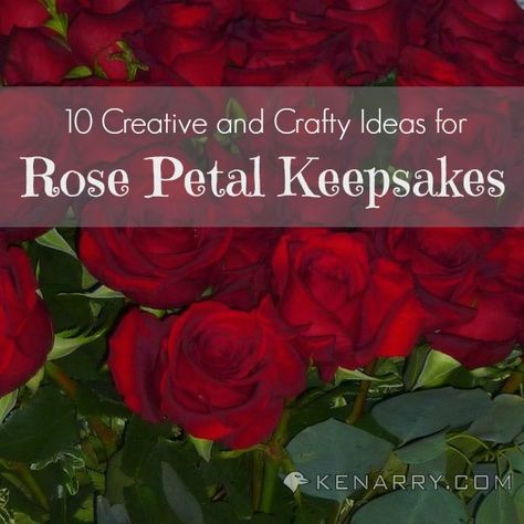 Rose Petal Crafts: 10 Ideas to Create Keepsakes and Gifts. These are great ways to save flowers from Valentine's Day, your wedding or any other special occasions. - Kenarry.com Rose Petal Crafts, Rose Petals Craft, Rose Petal Uses, Drying Roses, Rose Crafts, Diy Roses, Dried Rose Petals, Handmade Beauty Products, Wedding Art