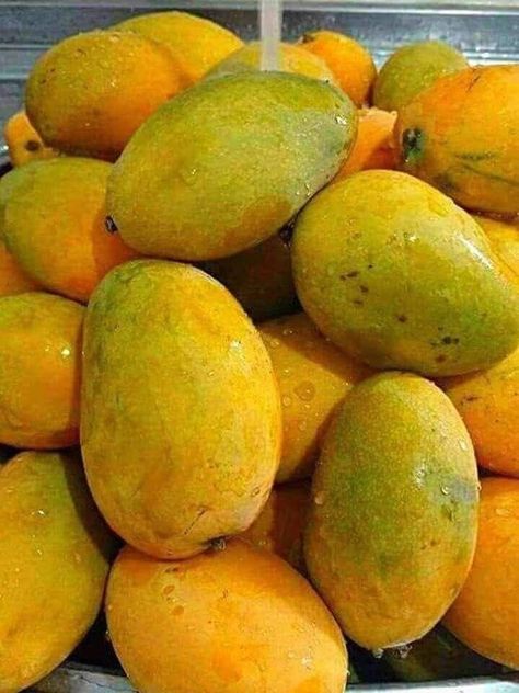 Fruits And Vegetables Pictures, Fruit World, Gambar Lanskap, Vegetable Pictures, Mango Margarita, Fruits Images, Mango Fruit, Mango Tree, Fruit Photography