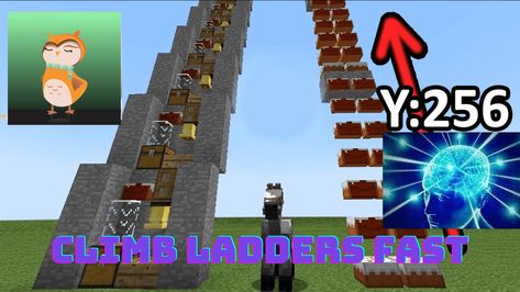 Climb Ladders Fast Mod (1.19.3, 1.18.2) makes ascending and descending ladders much faster so you can spend less time wasted on this mundane task and more time on the things that matter. With just a simple download, this mod gives you the power to quickly navigate your Minecraft world – no more fussing with slow [...] Time Wasted, Minecraft World, Things That Matter, The Heights, Minecraft 1, Minecraft Mods, New Adventures, The Things, No More