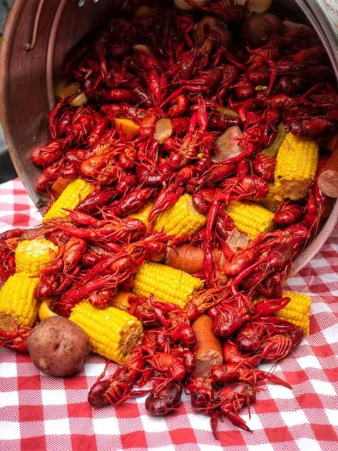 Louisiana Crawfish Boil Recipe - Coop Can Cook Louisiana Food Cajun Cooking, Crawfish Boil Aesthetic, Louisiana Seafood Boil, Crawfish Aesthetic, Louisiana Crawfish Boil Recipe, Etoufee Recipe, Crawfish Etoufee, Crawfish Boil Recipe, Postpartum Food