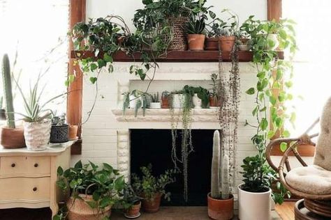 Beautiful Mantles, Reference Perspective, Fireplace Decor Ideas, Chill Spot, Lots Of Plants, نباتات منزلية, Green Oasis, Decorative Ideas, Interior Garden