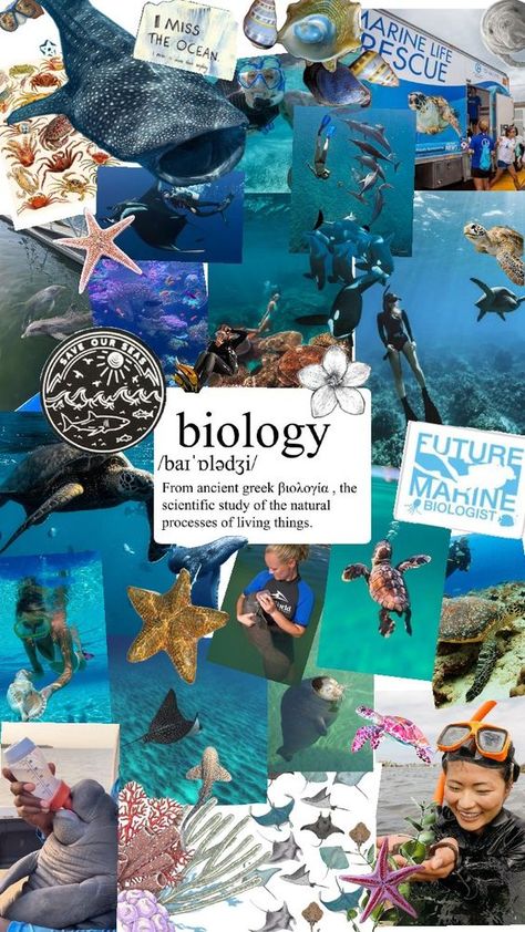 Check out hp830023's Shuffles Marine Biology🌊🐬🐋🪼 #sealife #ocean #marinebiology #wallpaper #seaturtles Marine Biology Jobs, Biology Jobs, Oceanography Marine Biology, Wallpaper Preppy, Biology Major, Ocean Projects, My Future Job, Ocean Aesthetic, Biology Notes