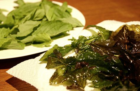 Deep-Fried Basil Leaves | Get the recipe for this vegetarian dish that's suprisingly delicious. #basil #snack #recipe #vegetable #appetizer Vegetable Appetizer, Fried Basil, Basil Recipes, Vegetarian Dish, Basil Leaves, Online Ordering, Veggie Sides, Fried Food, Vegetarian Dishes