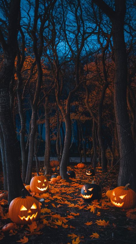 Aesthetic Halloween Wallpapers for a Chilling Look Asthetic Picture Wallpaper Halloween, Dark Forests, Halloween Wallpapers, 2024 Halloween, Aesthetic Halloween, Halloween Wallpaper, Dark Forest, Jack O Lantern, Aesthetic Wallpapers