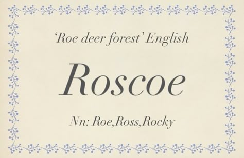 Baby name Roscoe Expensive Names, Nama Aesthetic, Best Character Names, Words That Describe Feelings, Feminine Mystique, Aesthetic Names, Pretty Names, Name Inspiration, Writing Inspiration Prompts