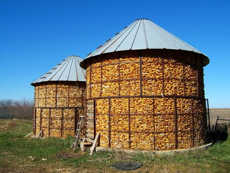 Corn Cribs. Unshelled corn harvest, stored in wire bins , #Sponsored, #Unshelled, #corn, #Corn, #Cribs, #wire #ad Street Beautification, Corn Harvest, Landscape References, Grain Bins, Corn Crib, Corn Grain, Crib Design, Wire Bins, Grain Storage