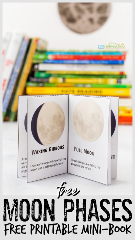 Moon Montessori Activities, Phases Of Moon Printable, 1st Grade Study Ideas, Moon Phase Activities, Moon Phases With Flashlight, Moon Phases Kindergarten Activities, Moon Phases Classroom Activity, Moon Phases Unit Study, 1st Grade Moon Activities