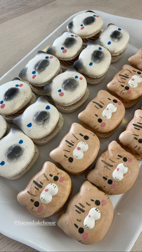 White cat with black ear and snout features and blue eyes macaron. Brown cat with stripe features macaron. Cat Themed Baking, Black Cat Macarons, Cat Themed Baked Goods, Cat Themed Treats, Cat Inspired Food, Cat Theme Food, Cat Themed Desserts, Cat Pastries, Cat Themed Food