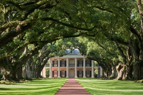 New Orleans Plantations, Old Southern Plantations, Louisiana Plantations, Southern Plantations, Scarlett O'hara, Driveway Landscaping, Unusual Homes, Greek Revival, Mount Pleasant