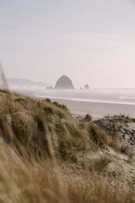 30+ photos to inspire you to visit Oregon's incredible central coast. From Tillamook to Cannon beach, there are incredible places to see. Oregon Coast Wallpaper, Pnw Beach Aesthetic, Cannon Beach Aesthetic, Oregon Coast Roadtrip, Oregon Aesthetic, Tillamook Oregon, Oregon Nature, Sea And Beach, Oregon Beach