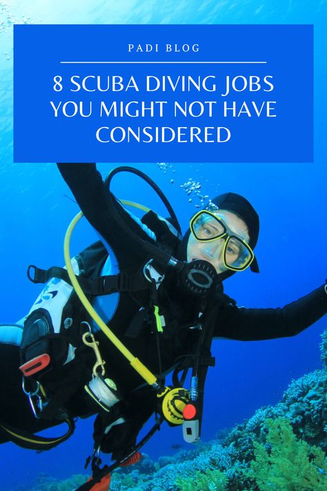 Snorkeling Tips, Thailand Sunsets, Scuba Equipment, Scuba Diving Courses, Gifts For Scuba Divers, Rescue Diver, Diving Course, Best Scuba Diving, Scuba Gear