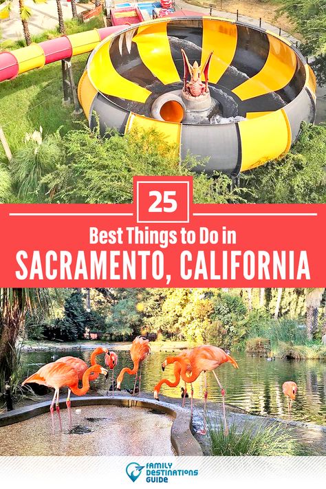 Want to see the most incredible things to do in Sacramento, CA? We’re FamilyDestinationsGuide, and we’re here to help: From unique activities to the coolest spots to check out, discover the BEST things to do in Sacramento, California - so you get memories that last a lifetime! #sacramento #sacramentothingstodo #sacramentoactivities #sacramentoplacestogo Things To Do Sacramento Ca, Day Trips From Sacramento Ca, Sacramento Things To Do, Things To Do In Sacramento California, Old Town Sacramento, Things To Do In Sacramento, Watsonville California, Indoor Things To Do, Downtown Sacramento