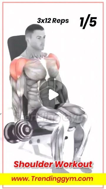 TrendingGym on Instagram: "Shoulder Workout Routine 🔥 Follow Us: @trendinggym Also Follow Us On YouTube Channel (Trending Gym)  🔗 Link in bio" Killer Shoulder Workout, Shoulder Workout Routine, Workout Without Gym, Shoulder Workout, Workout Routine, Gym Workouts, Youtube Channel, Follow Us, Link In Bio