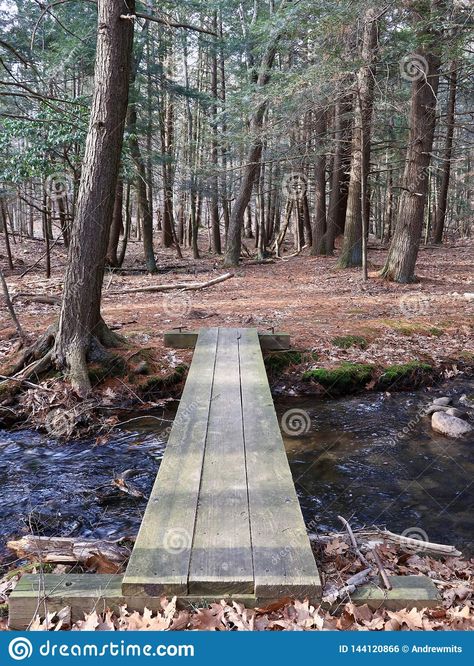 Bridge In Forest, Bridge Over Creek, Plank Bridge, Creek Bridge, Pocono Mountains, Wood Planks, Pennsylvania, Photo Image, Bridge