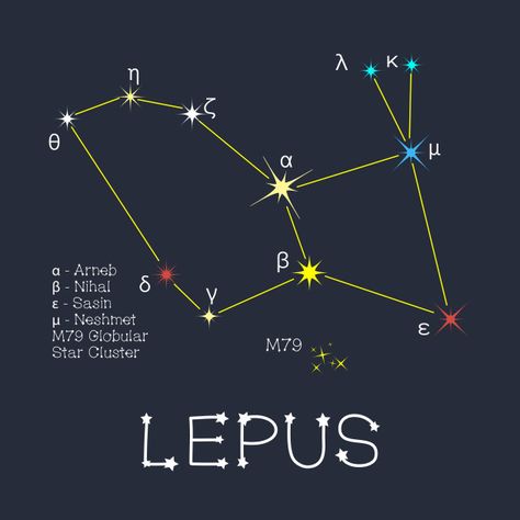 Lepus Constellation Tattoo, Lepus Constellation, Pelican Tattoo, Lesser Dog, Astronomy Constellations, White Forest, Star Cluster, Constellation Tattoos, Star Constellations