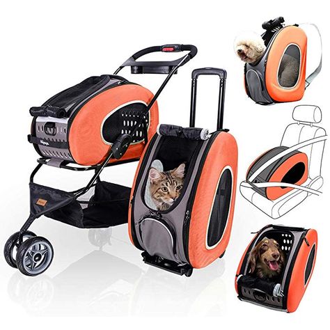 Dog Backpack Carrier, Small Pet Carrier, Pet Carrier Backpack, Cat Stroller, Cavachon Puppies, Pet Strollers, Pet Backpack Carrier, Pet Backpack, Dog Stroller