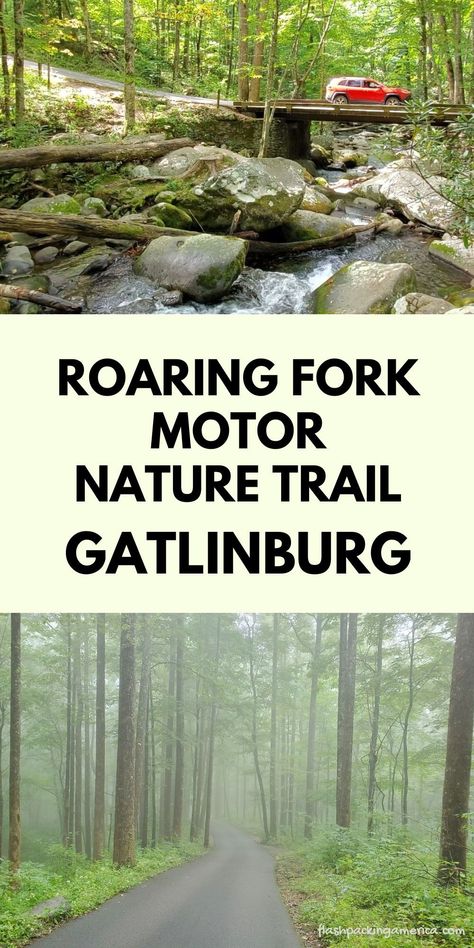 gatlinburg tennesee. Visit the blog for stops to make along the Smoky Mountains scenic drive near Gatlinburg Tennessee! Roaring Fork Motor Nature Trail is a slow scenic road with waterfalls, hikes, and quick stops! tennessee vacation things to do. smokey mountains. us travel destinations. us outdoor vacation ideas. smoky mountain national park. drive from pigeon forge. tennessee national park. blue ridge mountains. flashpacking america smoky mountains. Roaring Fork Motor Nature Trail, Smoky Mountain Waterfalls, Gatlinburg Tennessee Vacation, Tennessee Road Trip, Smokey Mountains Vacation, Smoky Mountains Tennessee, Mountain Christmas, Sevierville Tennessee, Mountains Vacation