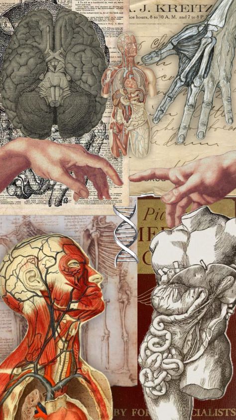 #vibes #wallpaper #art Human Anatomy And Physiology Aesthetic, Med Aesthetic, Vintage Medical Art, Body Farm, Body Science, Medical Drawings, Grey's Anatomy Doctors, Human Body Art, Medical Wallpaper